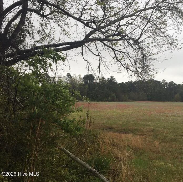 31.31 Ac Atlantic Breeze Drive