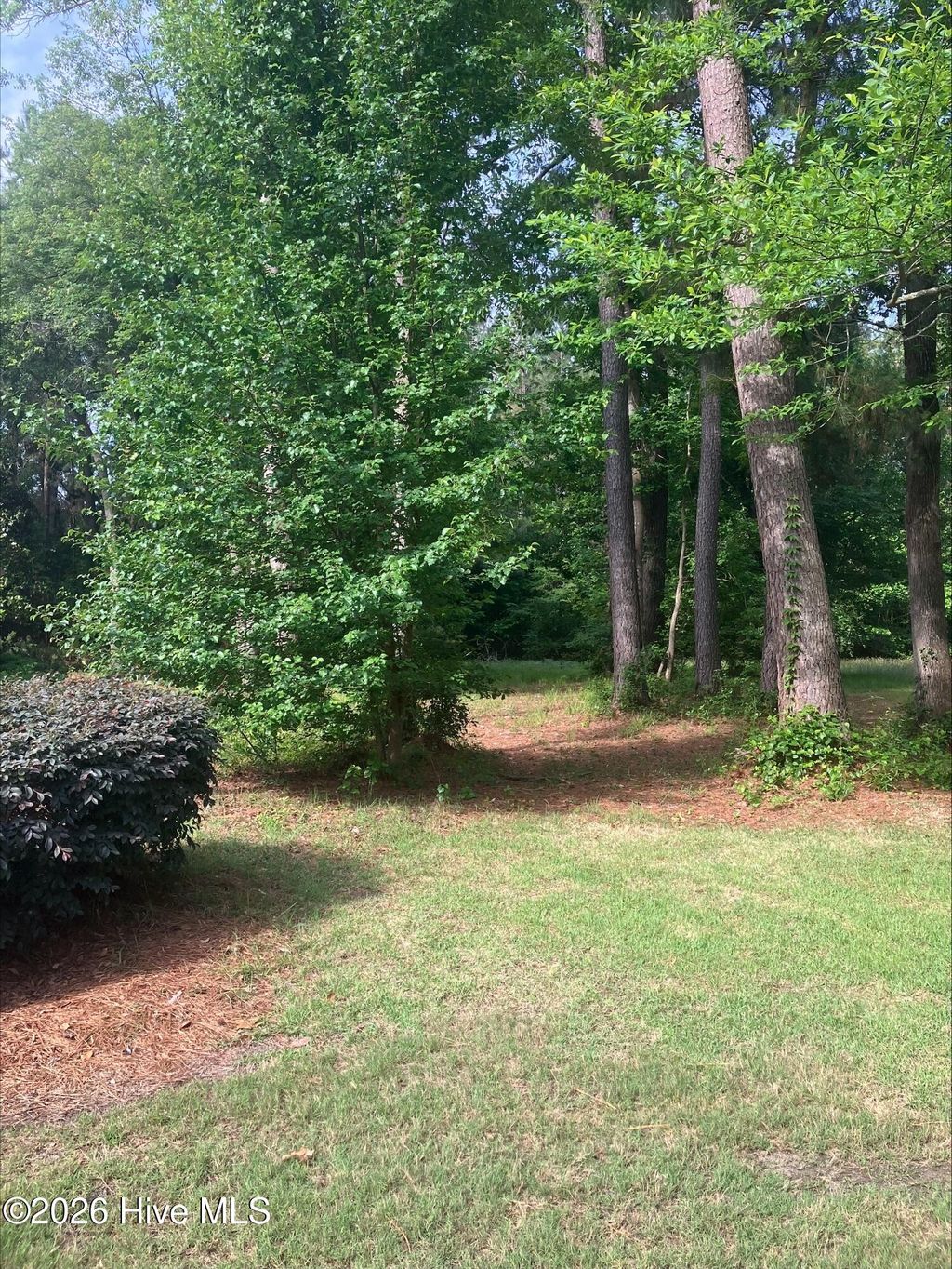 Photo of 155 Southern Magnolia Lane, Wallace, NC 28466 (MLS # 100573831)