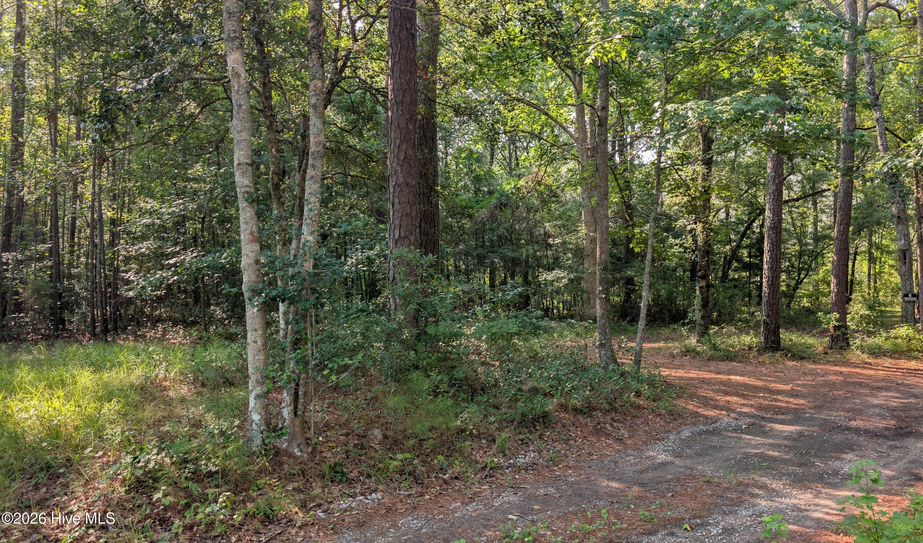 310 Sassafras Lane SW, Supply, NC, 28462