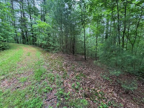 Vacant Land For Sale - LOT 11 Horse Camp Drive<br/> Hayesville, NC 28904