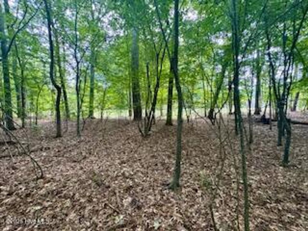 Photo of 5051 Chestnut Street, Hertford, NC 27944 (MLS # 100548464)