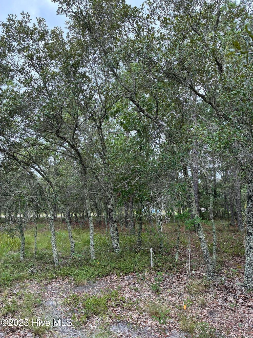 Photo of 3040 Valderama Way SE, Bolivia, NC 28422 (MLS # 100566389)