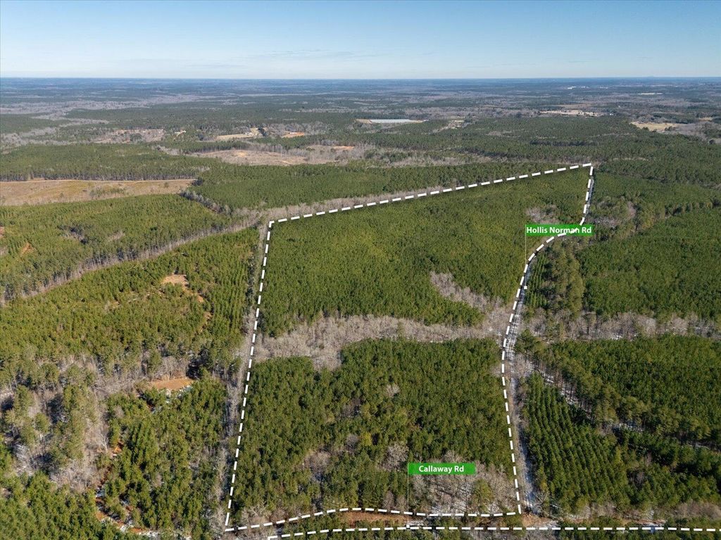 Photo of 0 Hollis Norman &amp; Callaway Rd., Washington, GA 30673 (MLS # 551724)
