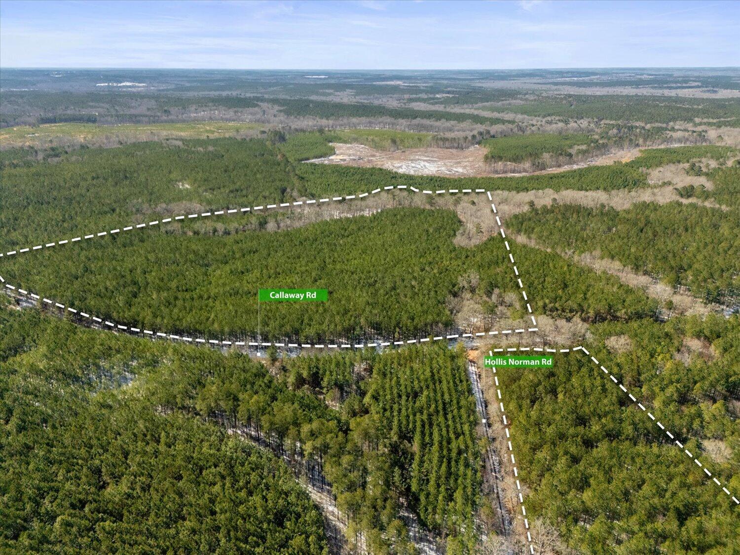 0 Hollis Norman & Callaway Rd.