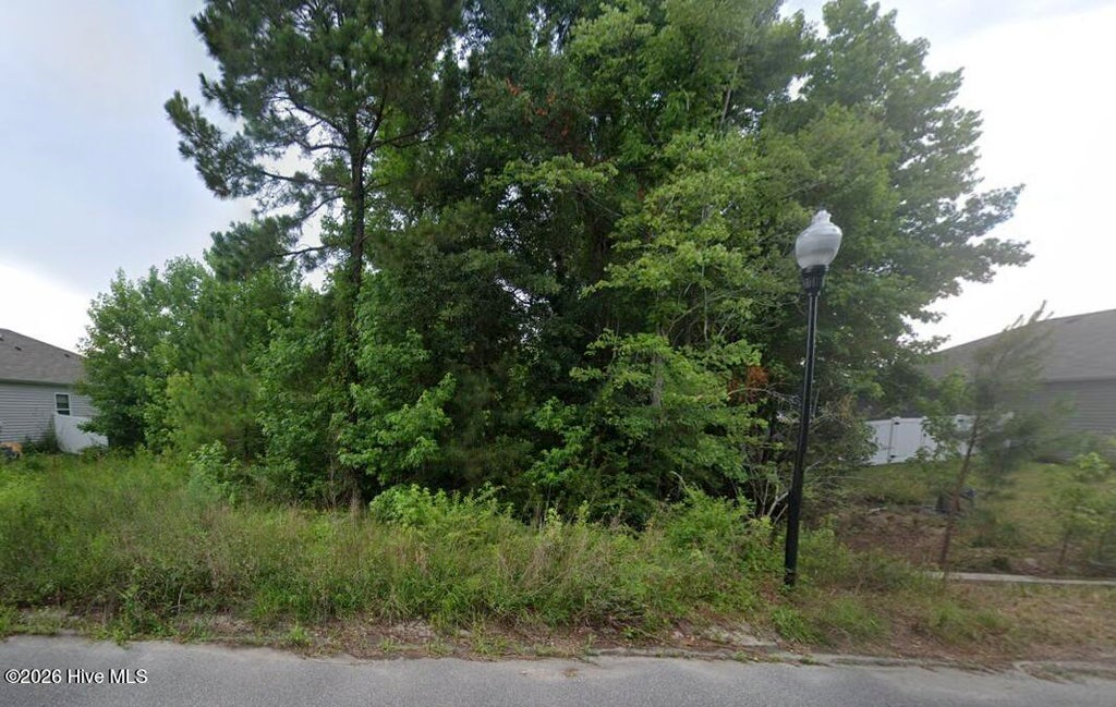 Photo of 1350 Cadbury Castle Drive SE, Bolivia, NC 28422 (MLS # 100607314)