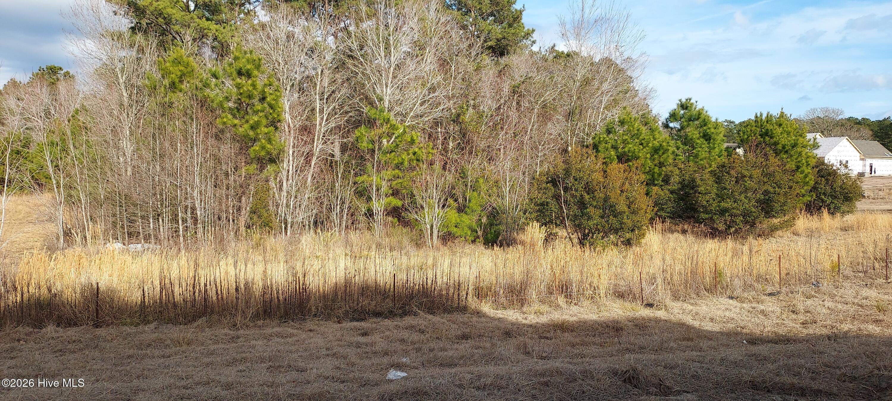 118 Cripple Creek Drive