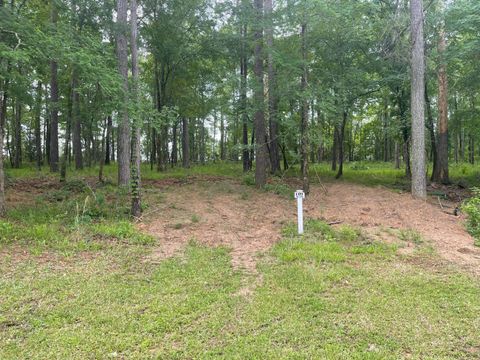 Vacant Land For Sale - N-75 Eutaw Springs Trail<br/> Edgefield County, North Augusta, SC 29860