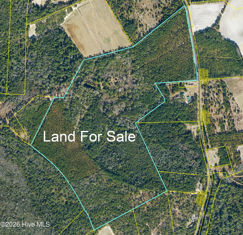 Photo of 0 Live Oak Methodist Church Road, White Oak, NC 28399 (MLS # 100588581)