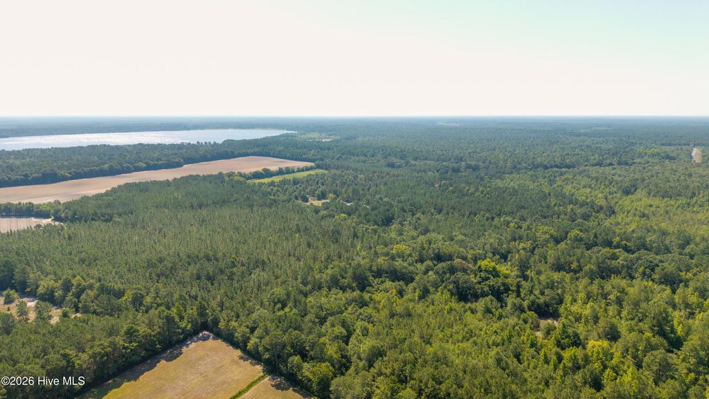 Photo of 0 Live Oak Methodist Church Road, White Oak, NC 28399 (MLS # 100588581)