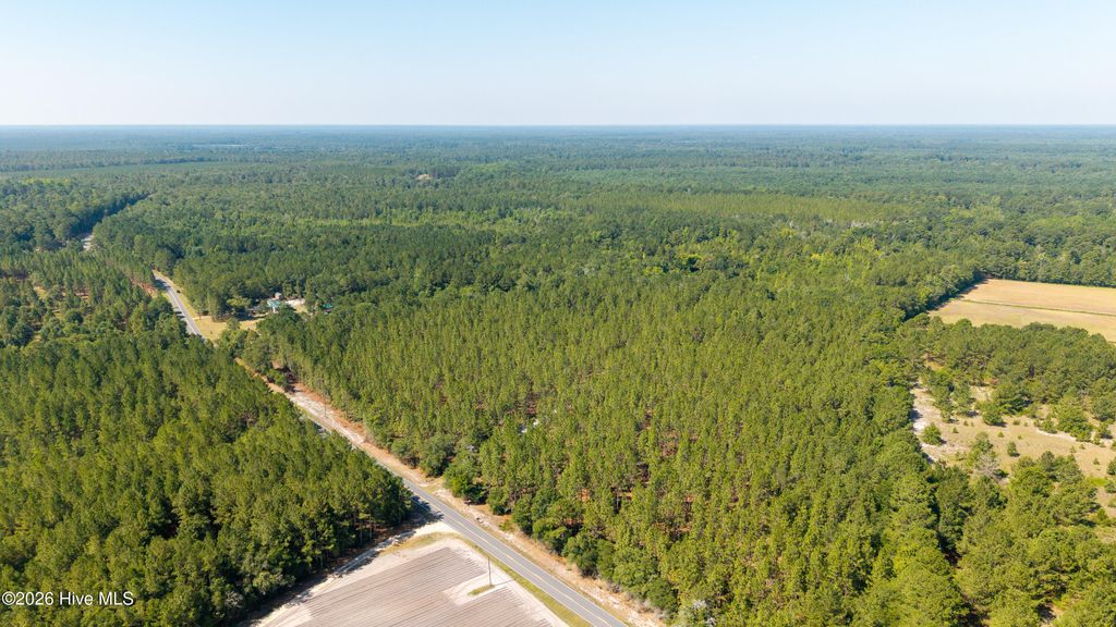 Photo of 0 Live Oak Methodist Church Road, White Oak, NC 28399 (MLS # 100588581)