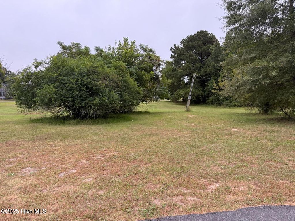 Photo of 0 Water Street, Grifton, NC 28530 (MLS # 100531999)