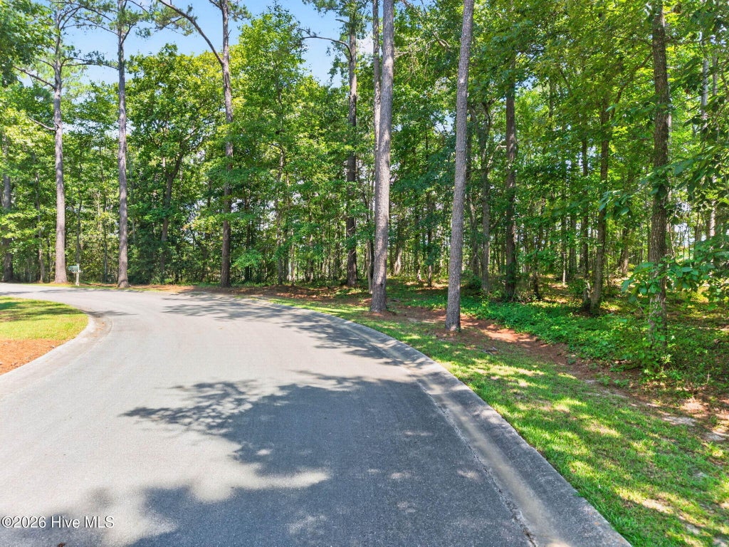 Photo of 3075 Valderama Way SE, Bolivia, NC 28422 (MLS # 100599632)