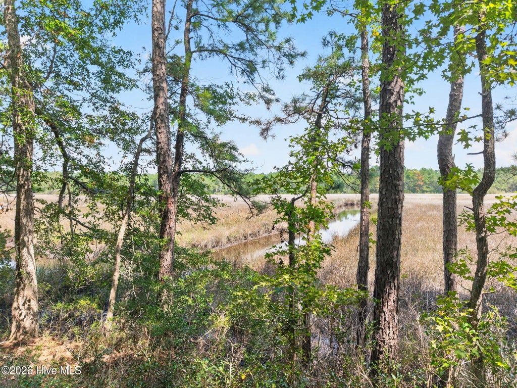 Photo of 3075 Valderama Way SE, Bolivia, NC 28422 (MLS # 100599632)