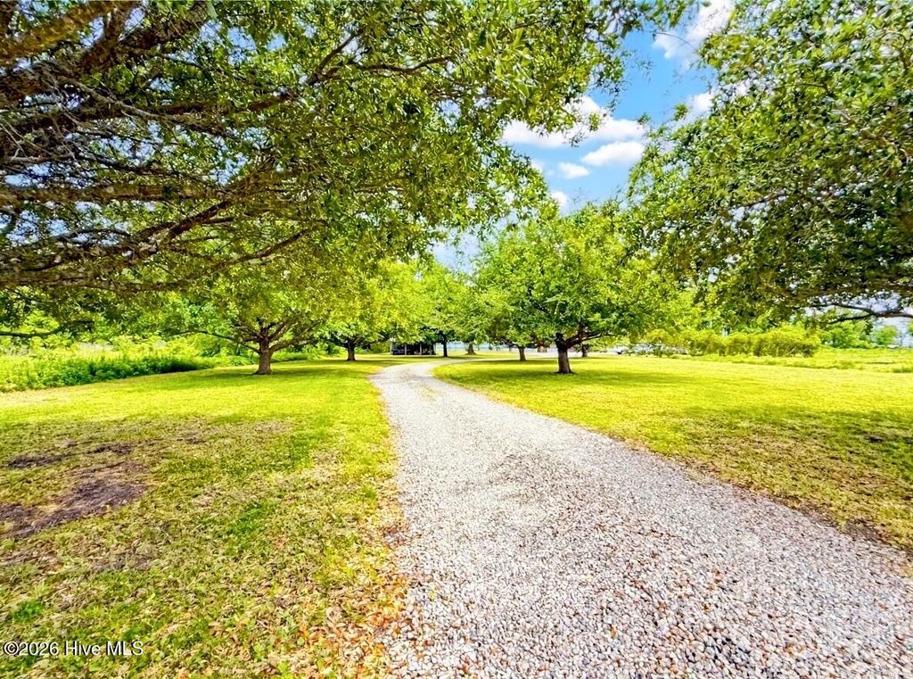 Photo of 6386 Piney Woods Road, Fairfield, NC 27826 (MLS # 100571472)