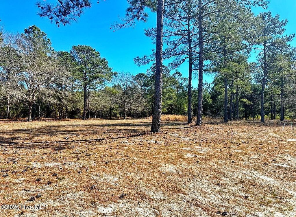 Photo of 7558 Haddington Place SW, Sunset Beach, NC 28468 (MLS # 100553056)