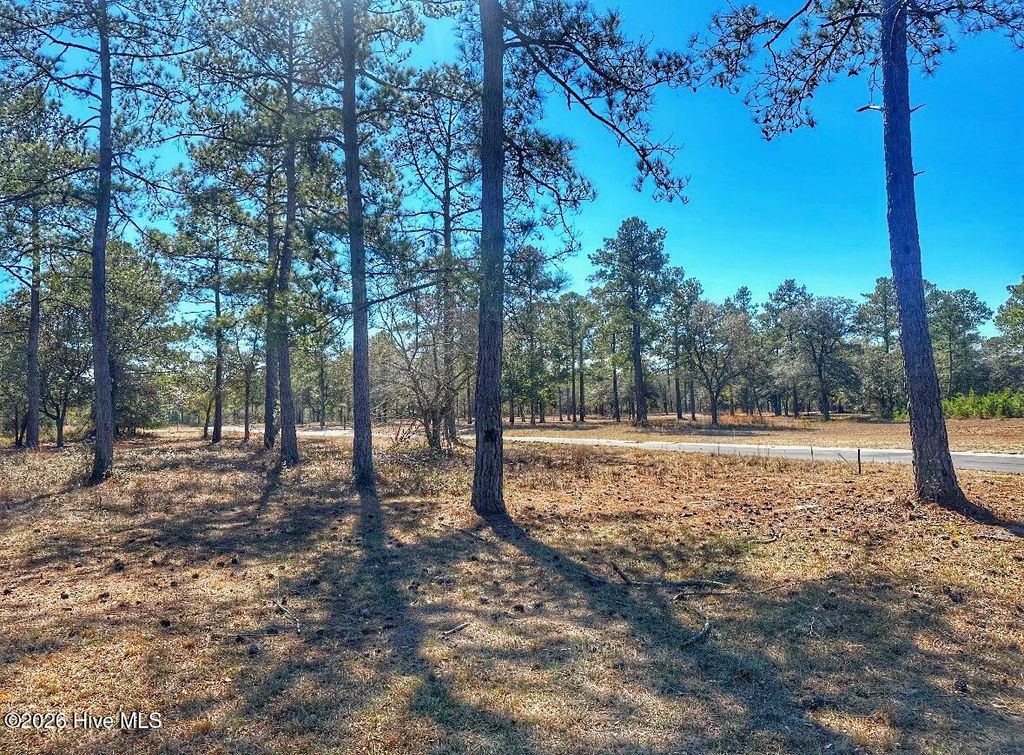 Photo of 7558 Haddington Place SW, Sunset Beach, NC 28468 (MLS # 100553056)
