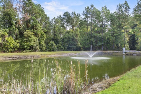 Tiny photo for 6079 Bell Williams Road, Currie, NC 28435 (MLS # 100606808)