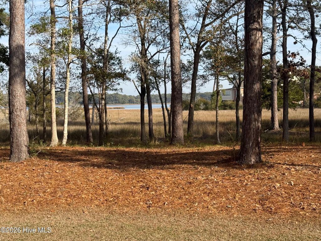 Photo of 274 Genoes Point Road SW, Supply, NC 28462 (MLS # 100549940)