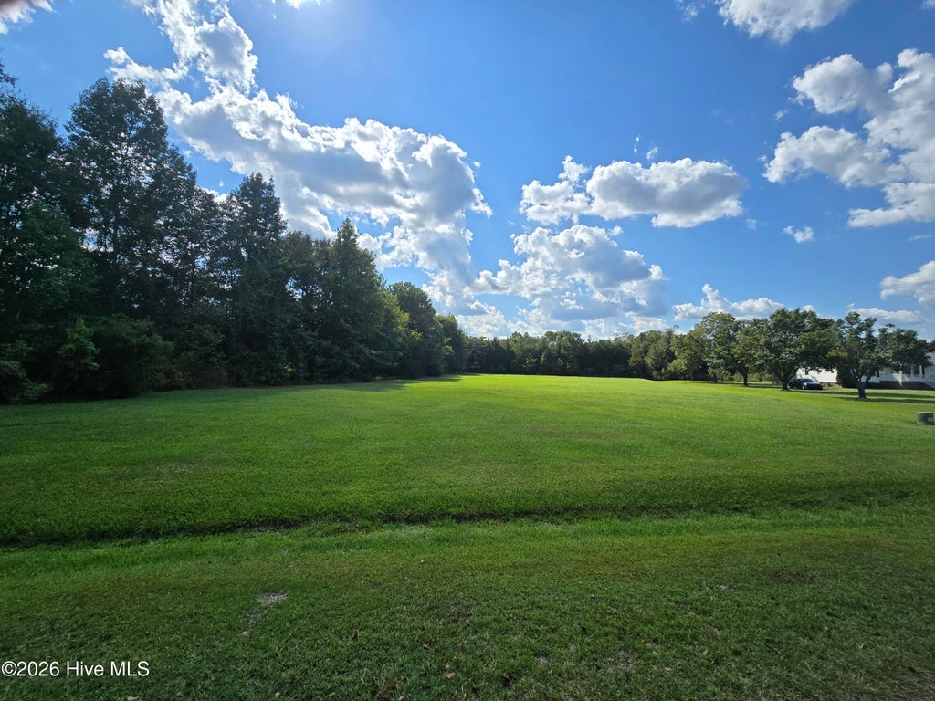Photo of 0 Lee Street, Bladenboro, NC 28320 (MLS # 100600620)