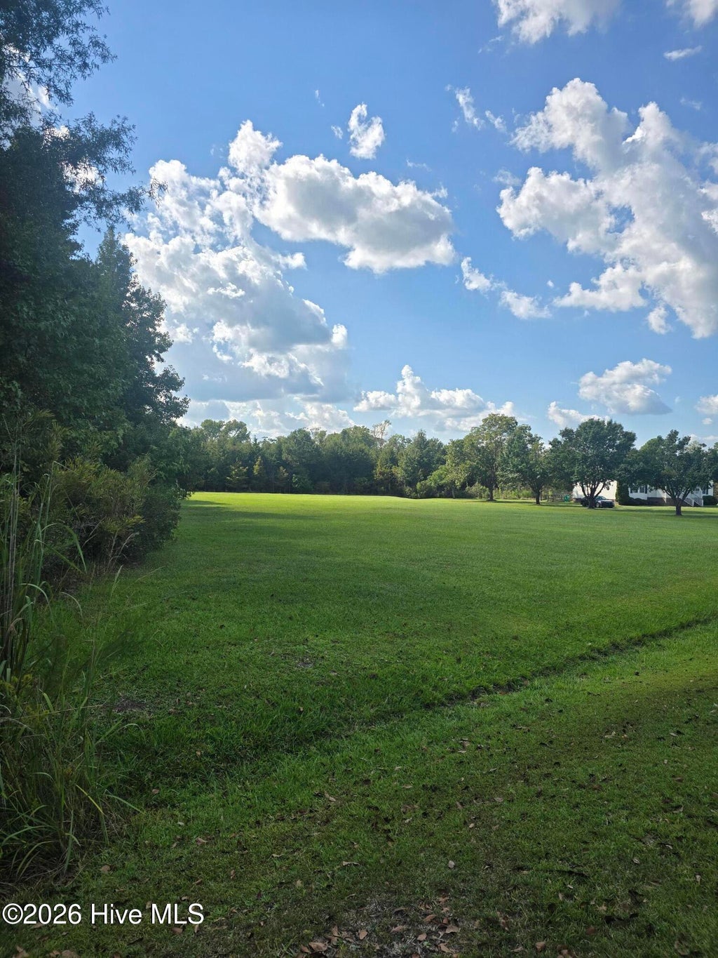 Photo of 0 Lee Street, Bladenboro, NC 28320 (MLS # 100600620)
