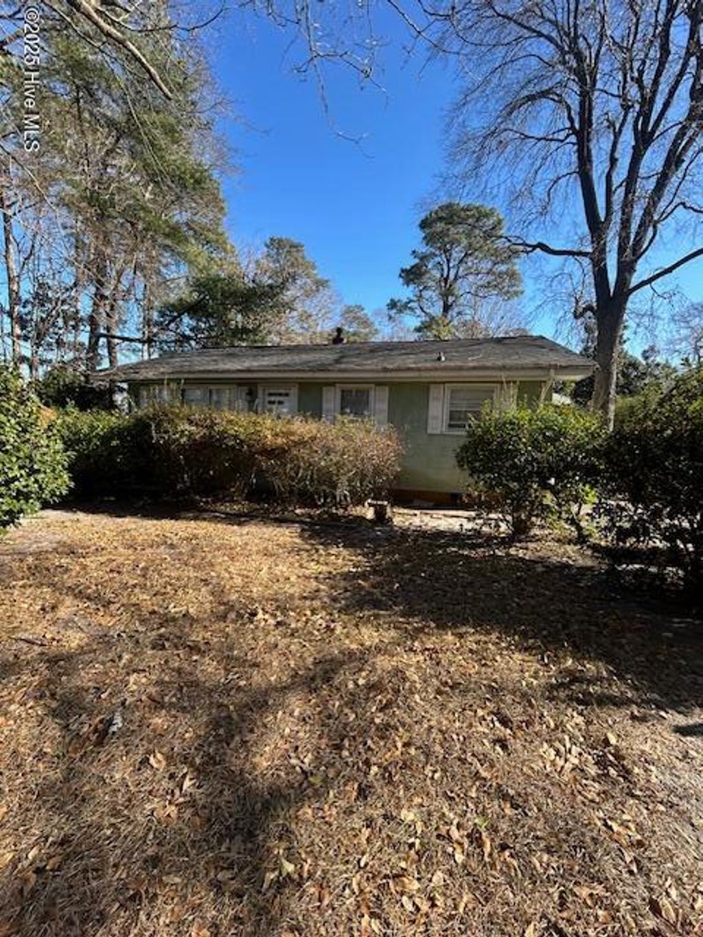 Photo of 206 Waldrop Road, Dudley, NC 28333 (MLS # 100546978)