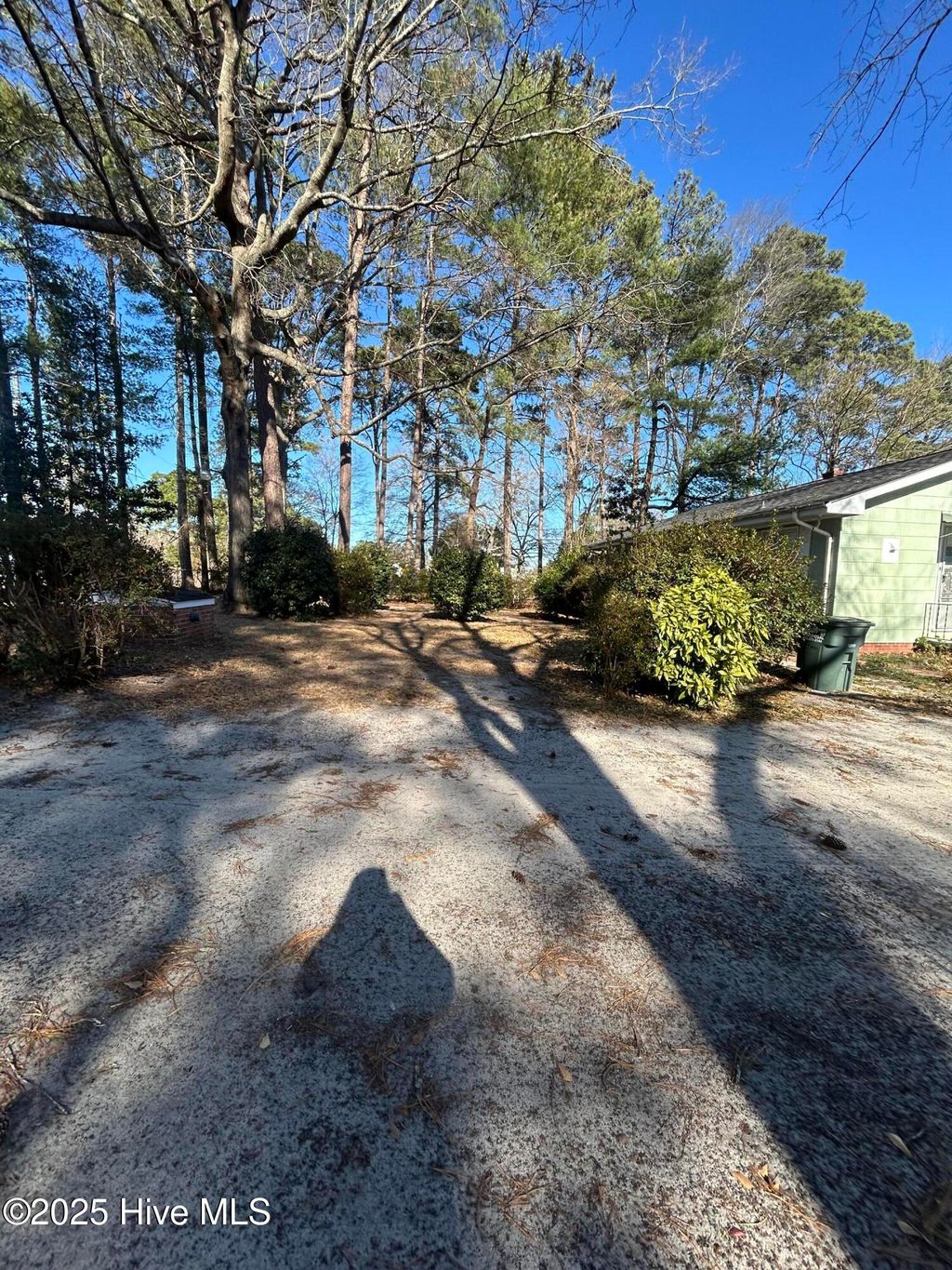 Photo of 206 Waldrop Road, Dudley, NC 28333 (MLS # 100546978)