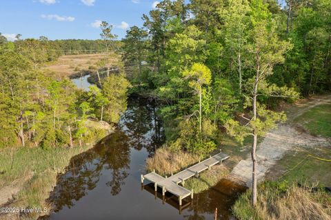 Tiny photo for 209 Brittany Lane, Stella, NC 28582 (MLS # 100546265)