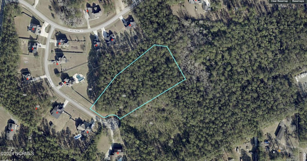 Photo of 209 Brittany Lane, Stella, NC 28582 (MLS # 100546265)