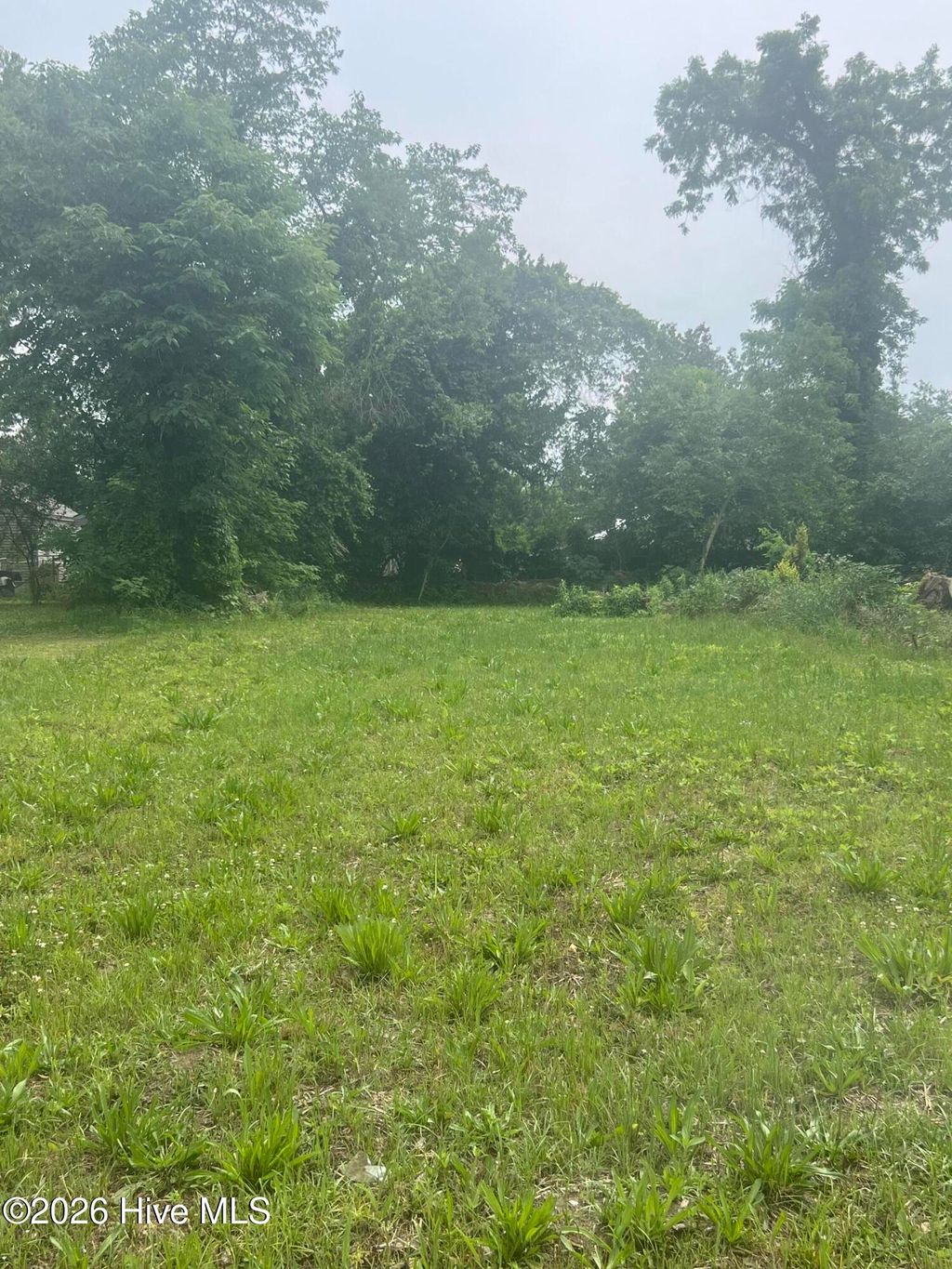 Photo of 232 Walker Street, Augusta, GA 30901 (MLS # 100573263)