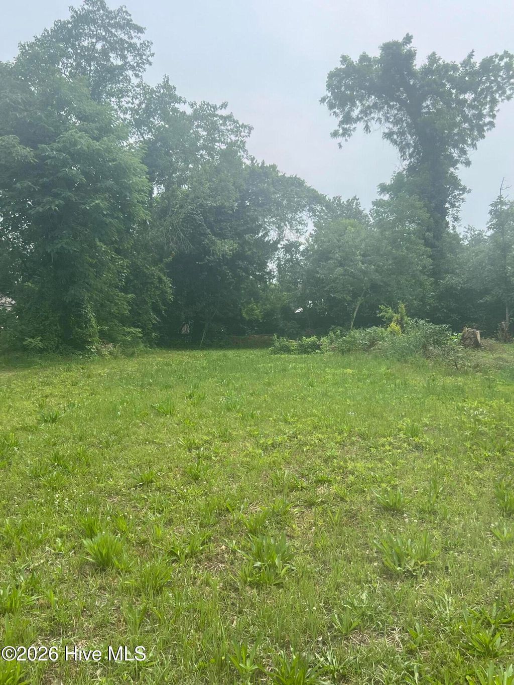 Photo of 232 Walker Street, Augusta, GA 30901 (MLS # 100573263)