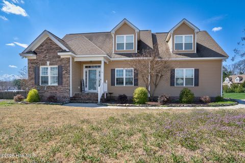 Photo of 425 Oriole Road, Nashville, NC 27856 (MLS # 100559619)