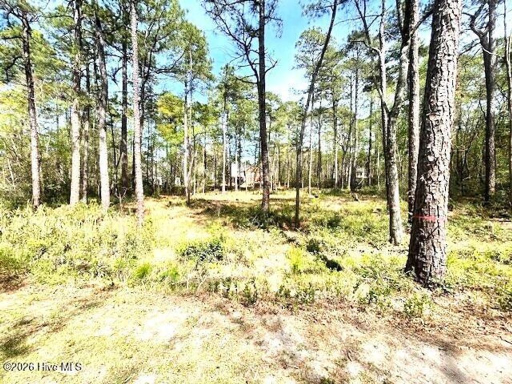 Photo of 14 Bedford Circle, Pinehurst, NC 28374 (MLS # 100567601)