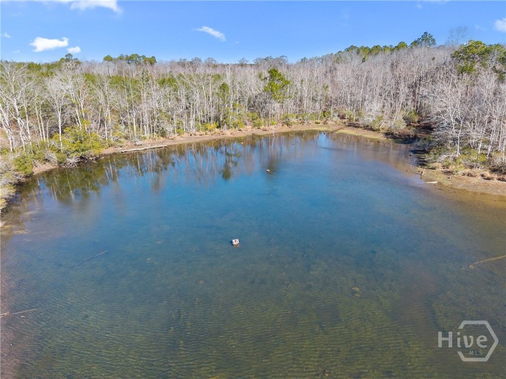 Photo of 2001 Tru Fail Crossing, Portal, GA 30425 (MLS # SA347614)