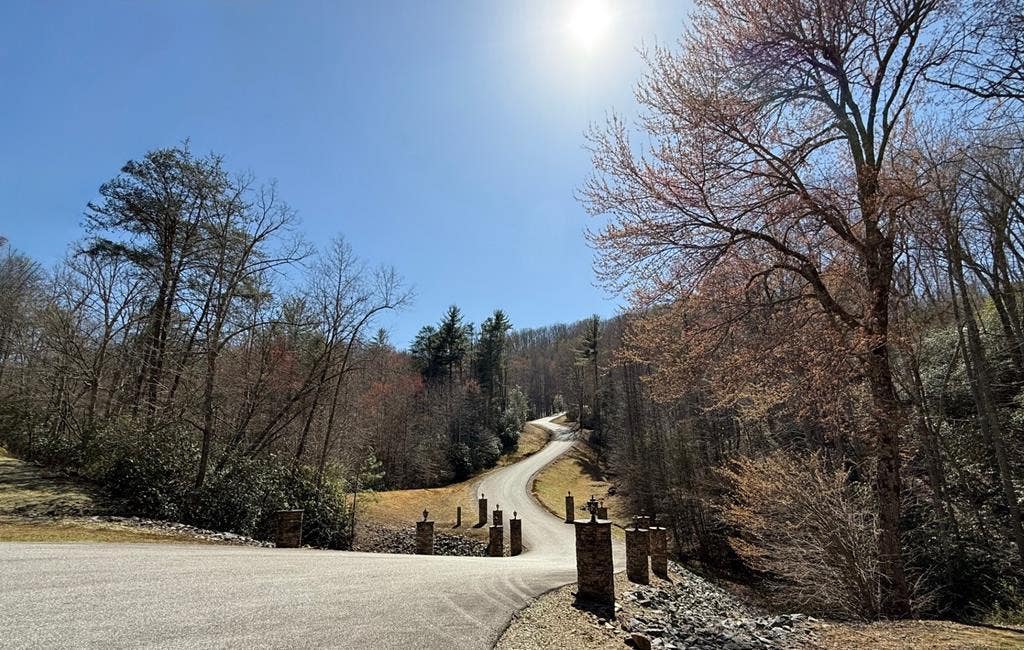 Photo of 3 Wild Laurel, Brasstown, NC 28902 (MLS # 100583851)