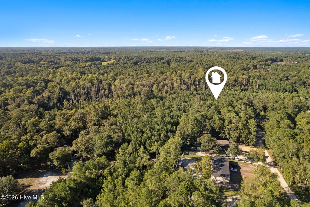 Photo of 1275 Black Bear Run SW, Supply, NC 28462 (MLS # 100602605)