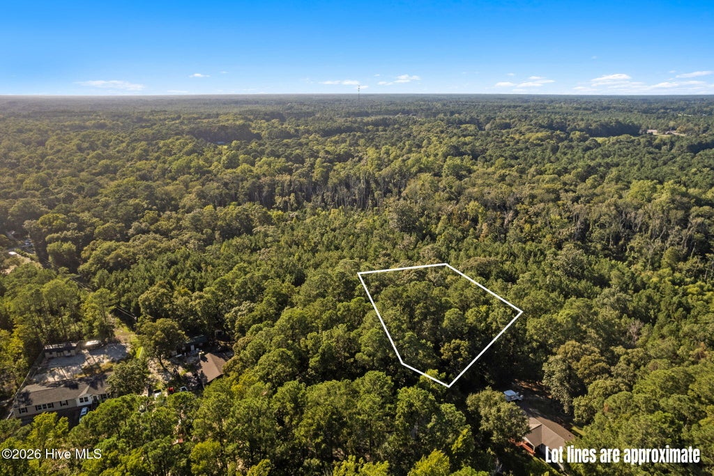 Photo of 1275 Black Bear Run SW, Supply, NC 28462 (MLS # 100602605)