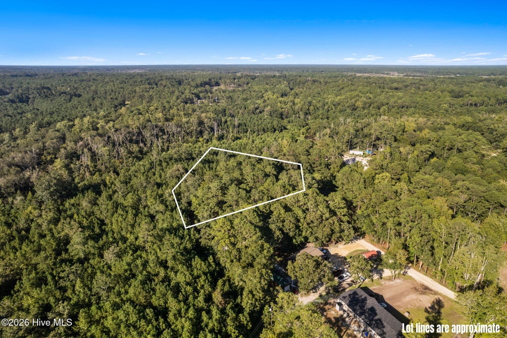 Photo of 1275 Black Bear Run SW, Supply, NC 28462 (MLS # 100602605)