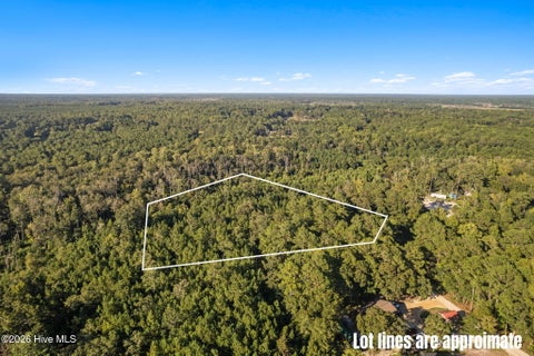 Tiny photo for 1275 Black Bear Run SW, Supply, NC 28462 (MLS # 100602605)