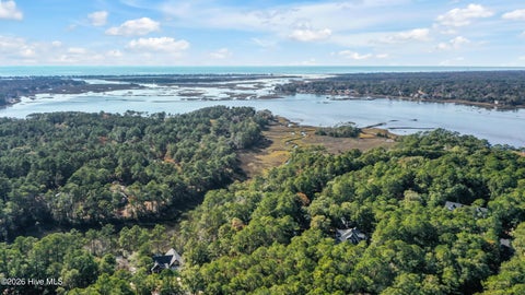 Tiny photo for 2967 Island Drive SE, Bolivia, NC 28422 (MLS # 100606225)
