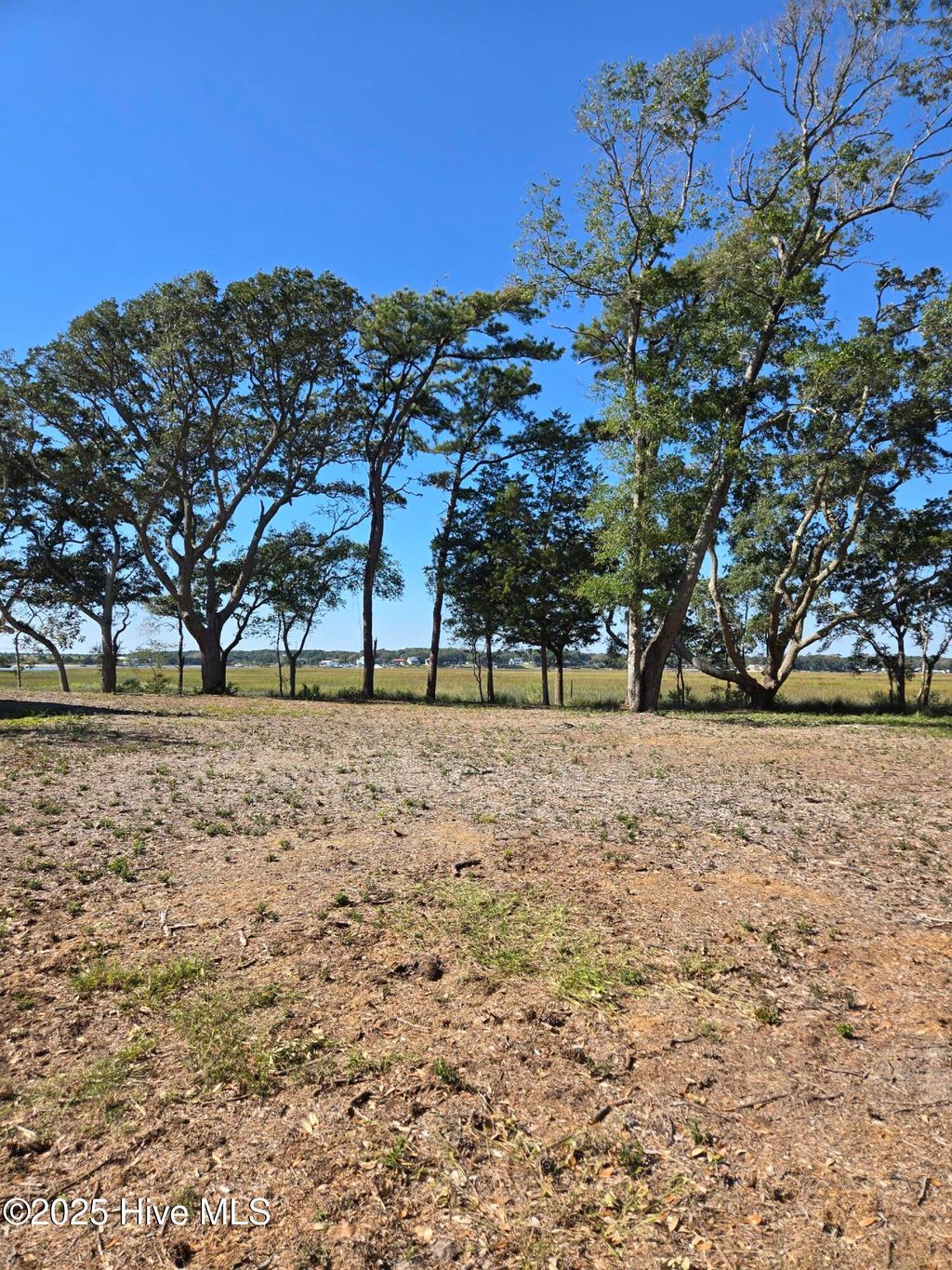 Photo of 3810 Windy Point Road SW, Supply, NC 28462 (MLS # 100536937)