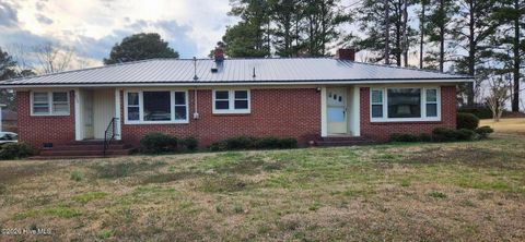 Photo of 305 N 2nd Street, Macclesfield, NC 27852 (MLS # 100564941)