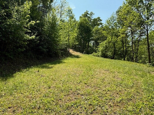 Lot 43 43 Silo View - Photo 2
