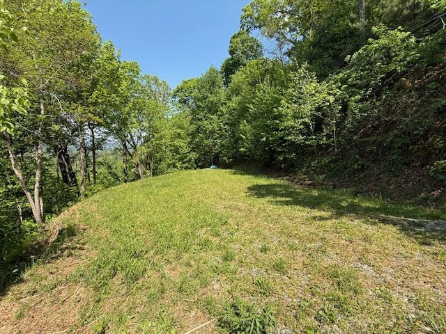 Lot 43 43 Silo View - Photo 4