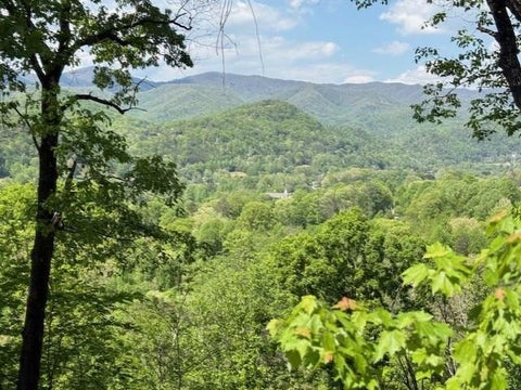 Vacant Land For Sale - LOT 43 Silo View<br/> Marble, NC 28905