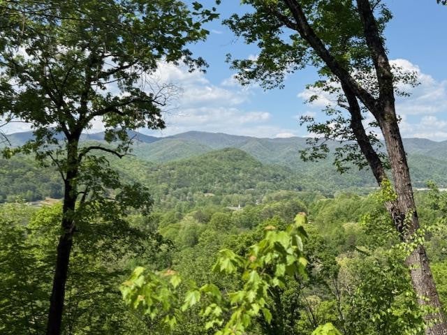 Lot 43 43 Silo View - Photo 3