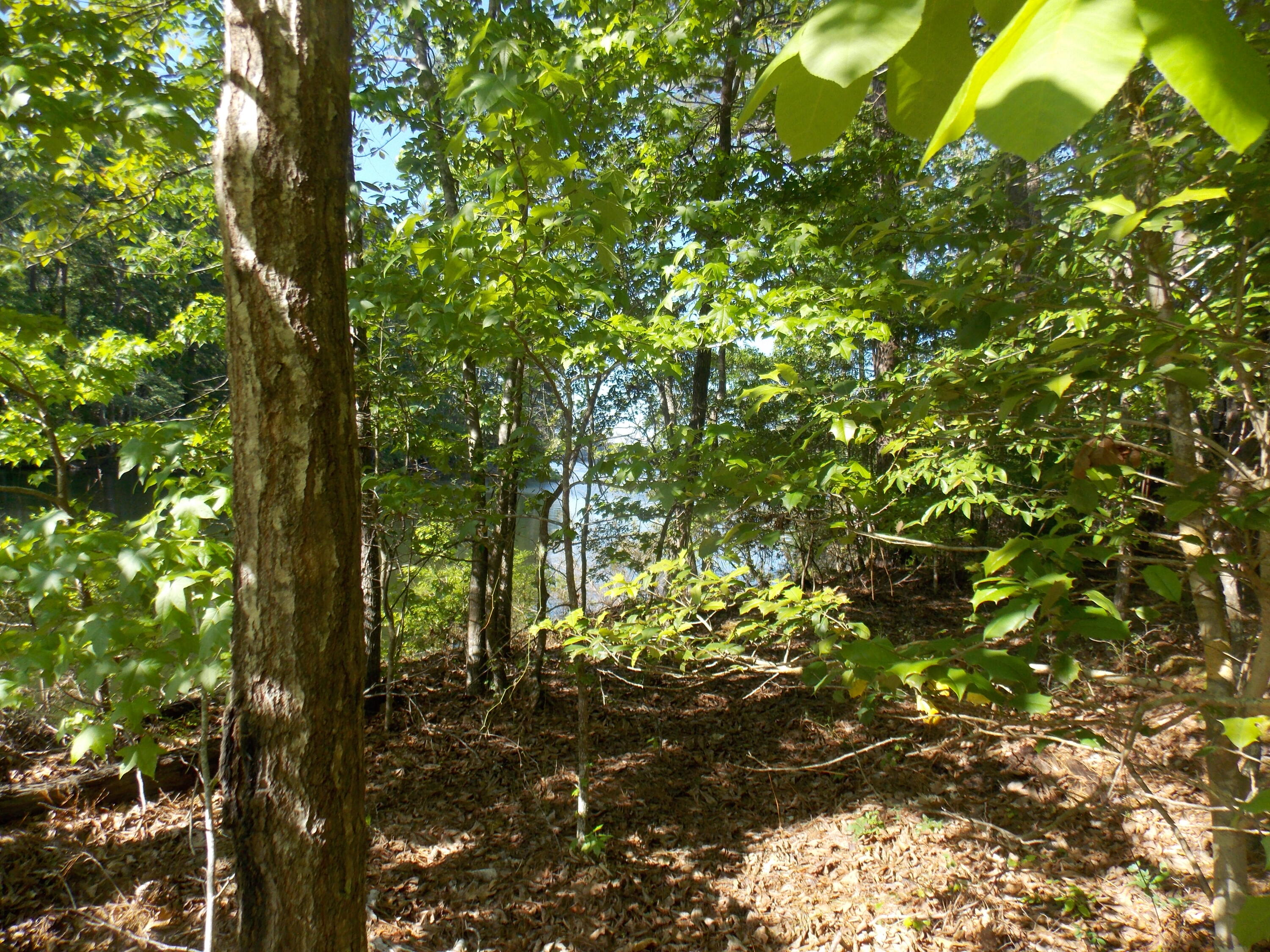 13 13 Riverview Ct