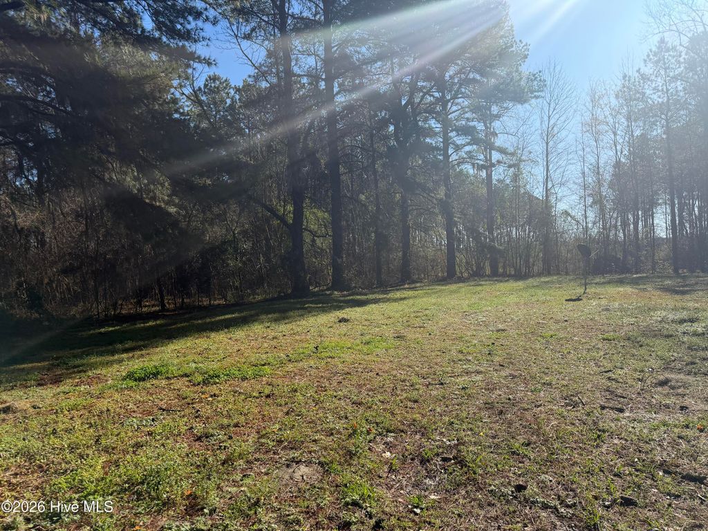 Photo of 1480 Herring Run Road, Blounts Creek, NC 27814 (MLS # 100560254)