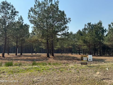 Vacant Land For Sale - 100 Cutter Bay South Street<br/> Pamlico County, Stonewall, NC 28583