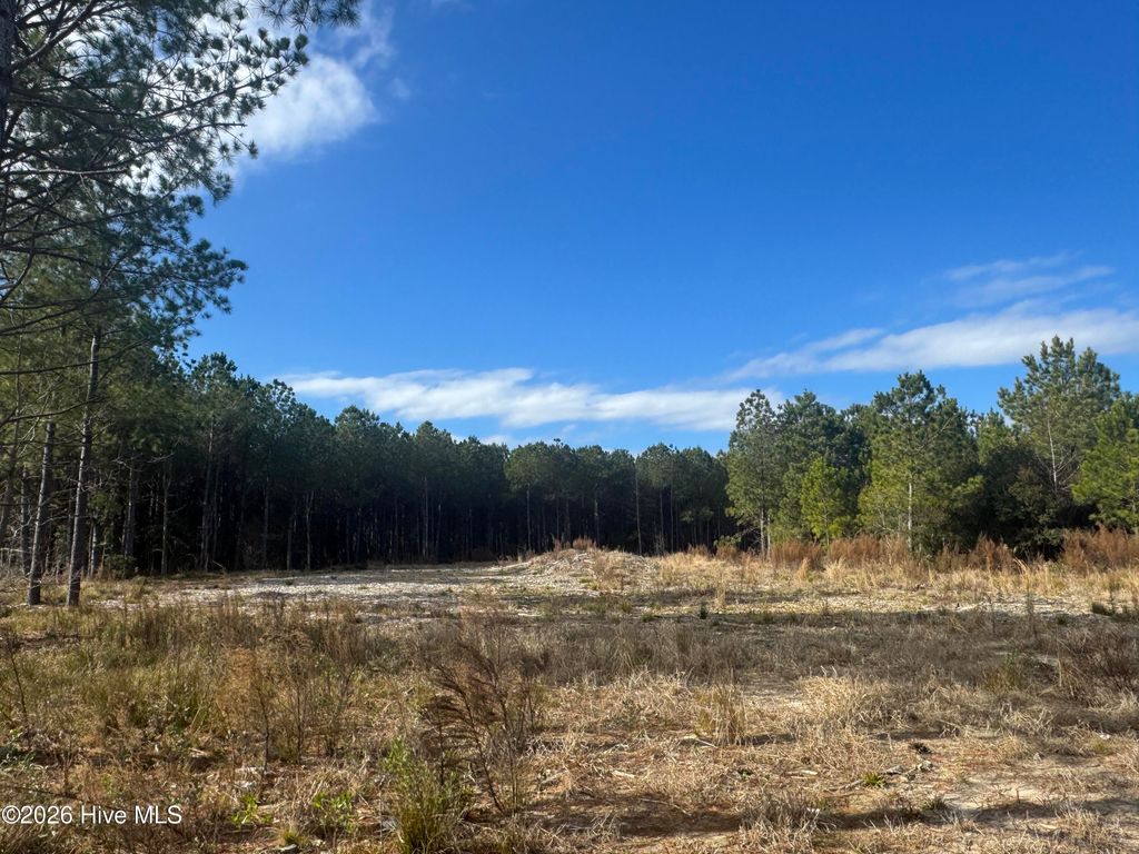 Photo of 100 Cutter Bay South Street, Stonewall, NC 28583 (MLS # 100549527)