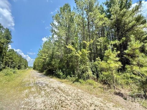 Vacant Land For Sale - 1 Firetower Road<br/> Long County, Ludowici, GA 31316